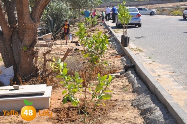 ashjar taso 0328 (27).JPG